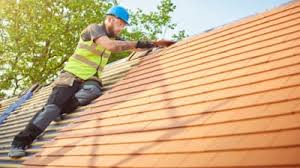 Best Rubber Roofing (EPDM, TPO)  in Alamo, NV