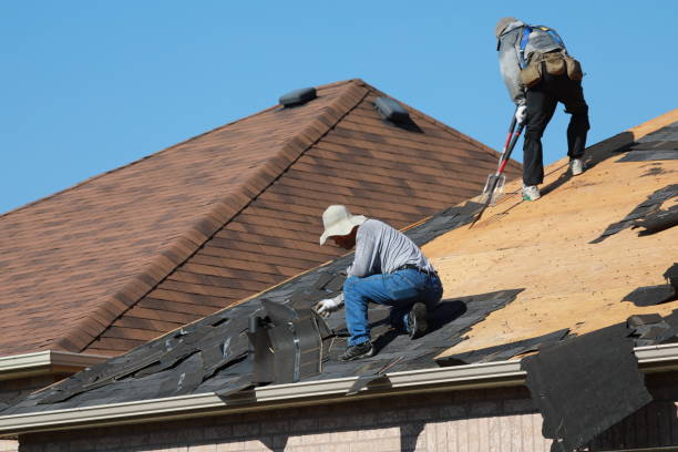 Sheet Metal Roofing in Alamo, NV