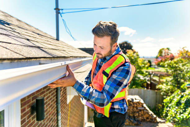 Best Solar Panel Roofing Installation  in Alamo, NV