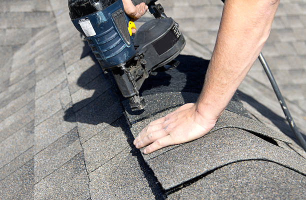 Best Skylight Installation and Repair  in Alamo, NV